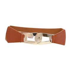 Women Brown Elastic Skinny Waistband Hip High Waist Belt Gold Metal Buckle S M