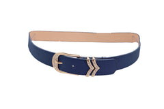 Brown Elastic Band Wide Belt Hip High Waist Oval Gold Metal Plate Size S M