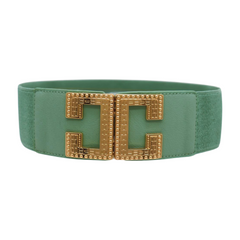 Women Jade Teal Elastic Wide Fashion Belt Hip Waist Gold Metal C Buckle S M